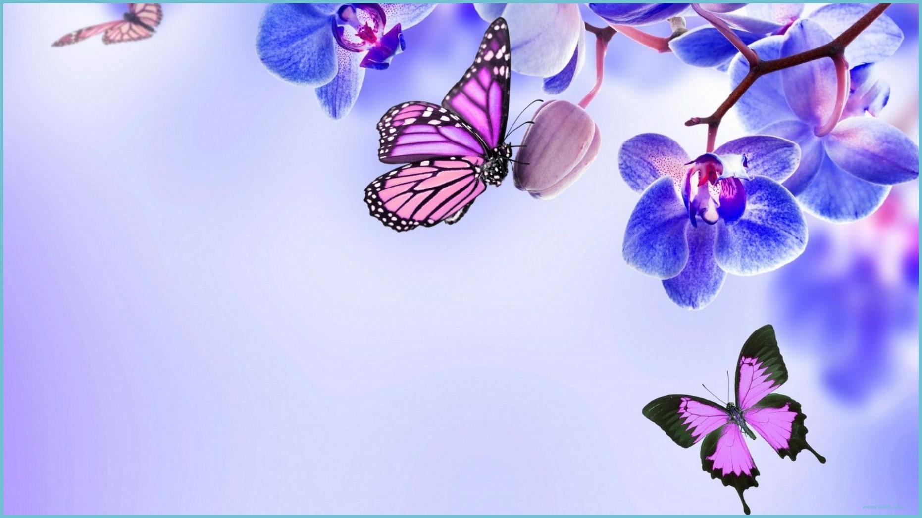 1862x1047 Purple Butterfly Desktop Wallpaper Free Purple Butterfly Butterfly Wallpaper