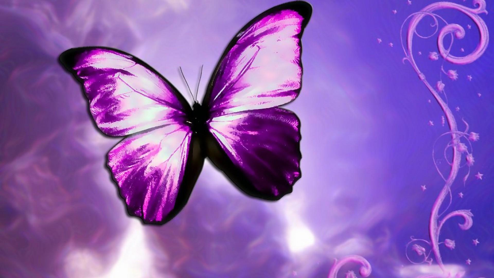 1920x1080 Wallpaper Computer Purple Butterfly Live Wallpaper HD