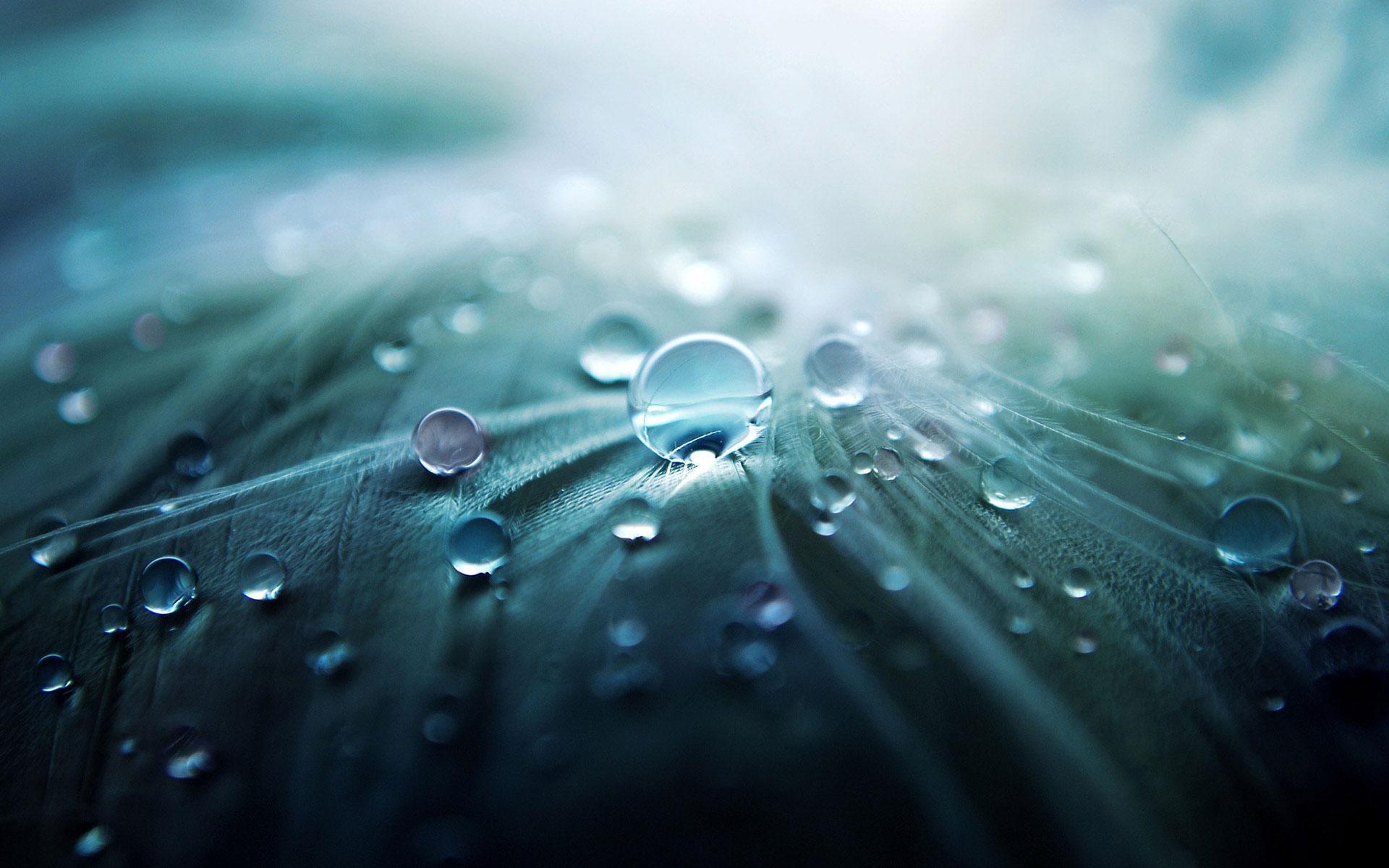 1920x1200 Water Droplets on Gray Textile · Free