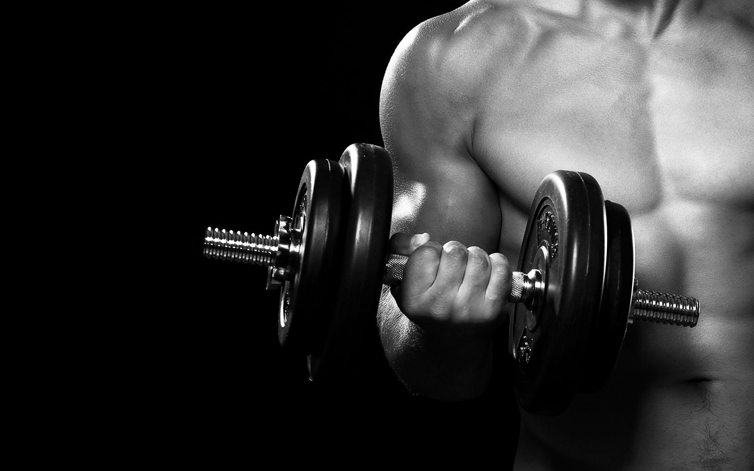 2560x1600 Dumbbells Wallpaper