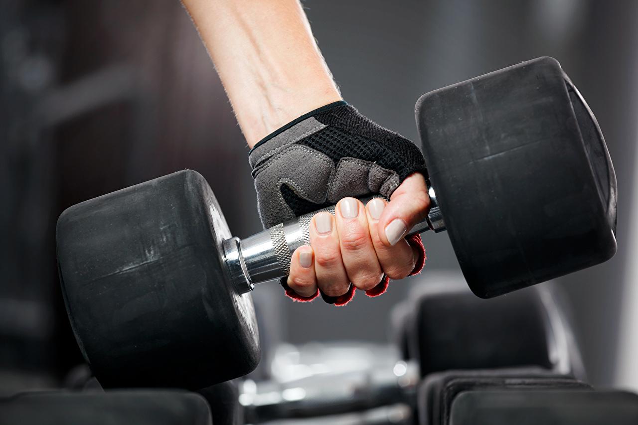 1280x853 Photos weight gloves Fitness Sport dumbbell Hands