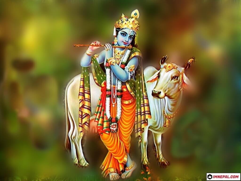 1024x768 Hindu Deity Lord Shri Krishna Image Wallpaper HD Wallpaper