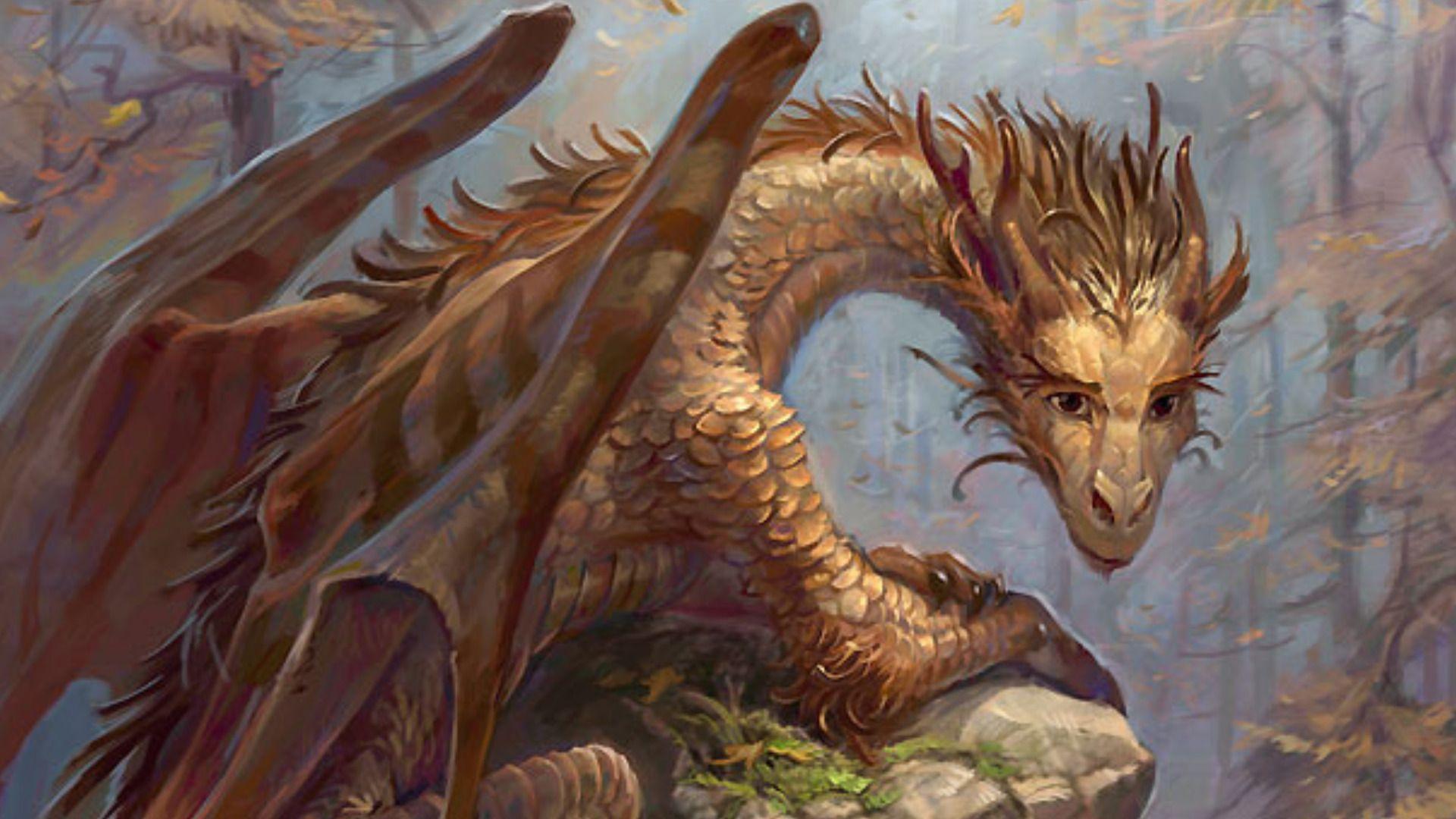 1920x1080 Dragon Computer Wallpaper, Desktop Backgroundx1080. Digital art gallery, Dragon picture, Fantasy picture