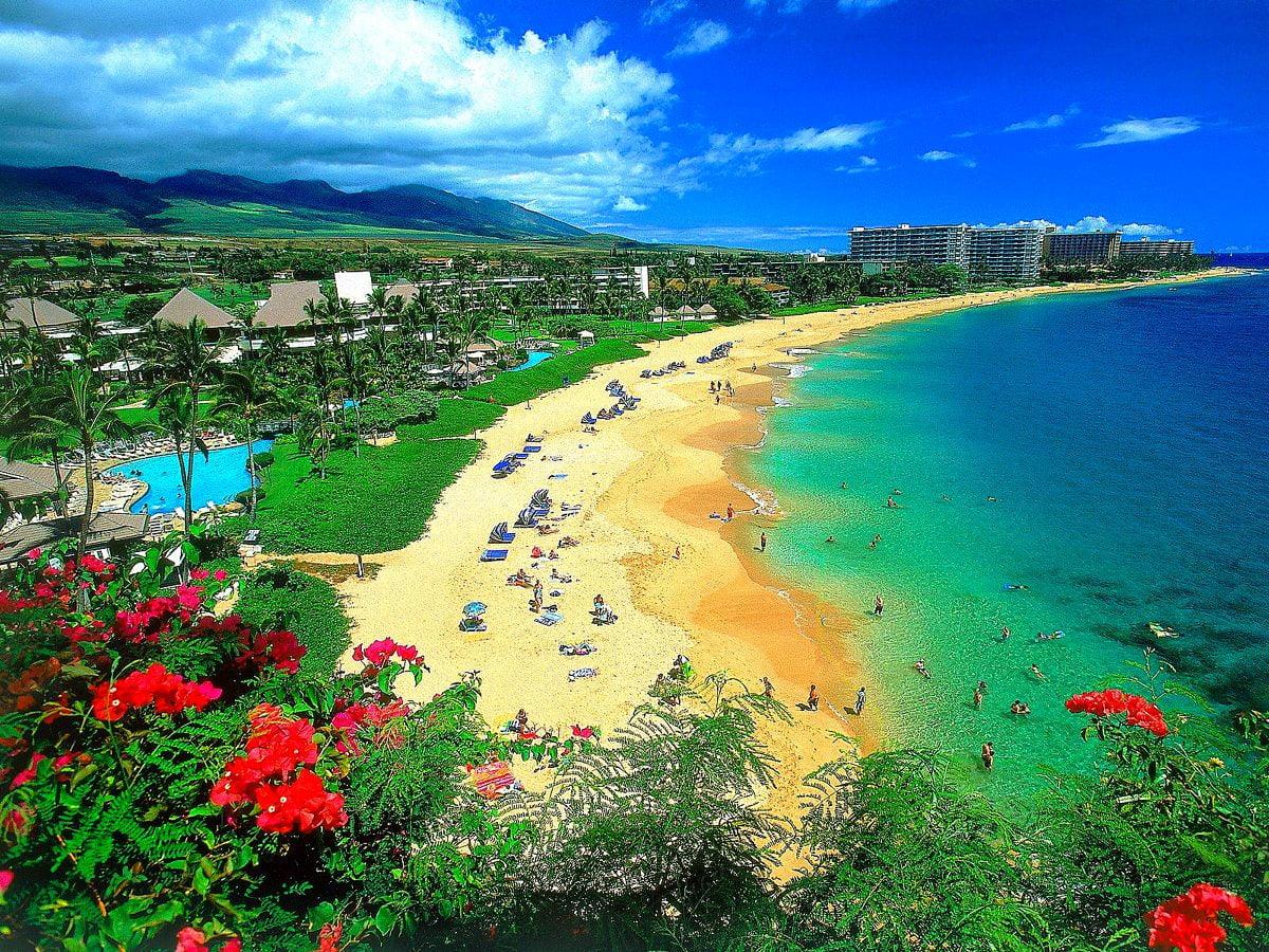 1200x900 Hawaii, Nature, Beach background. Best Free photo