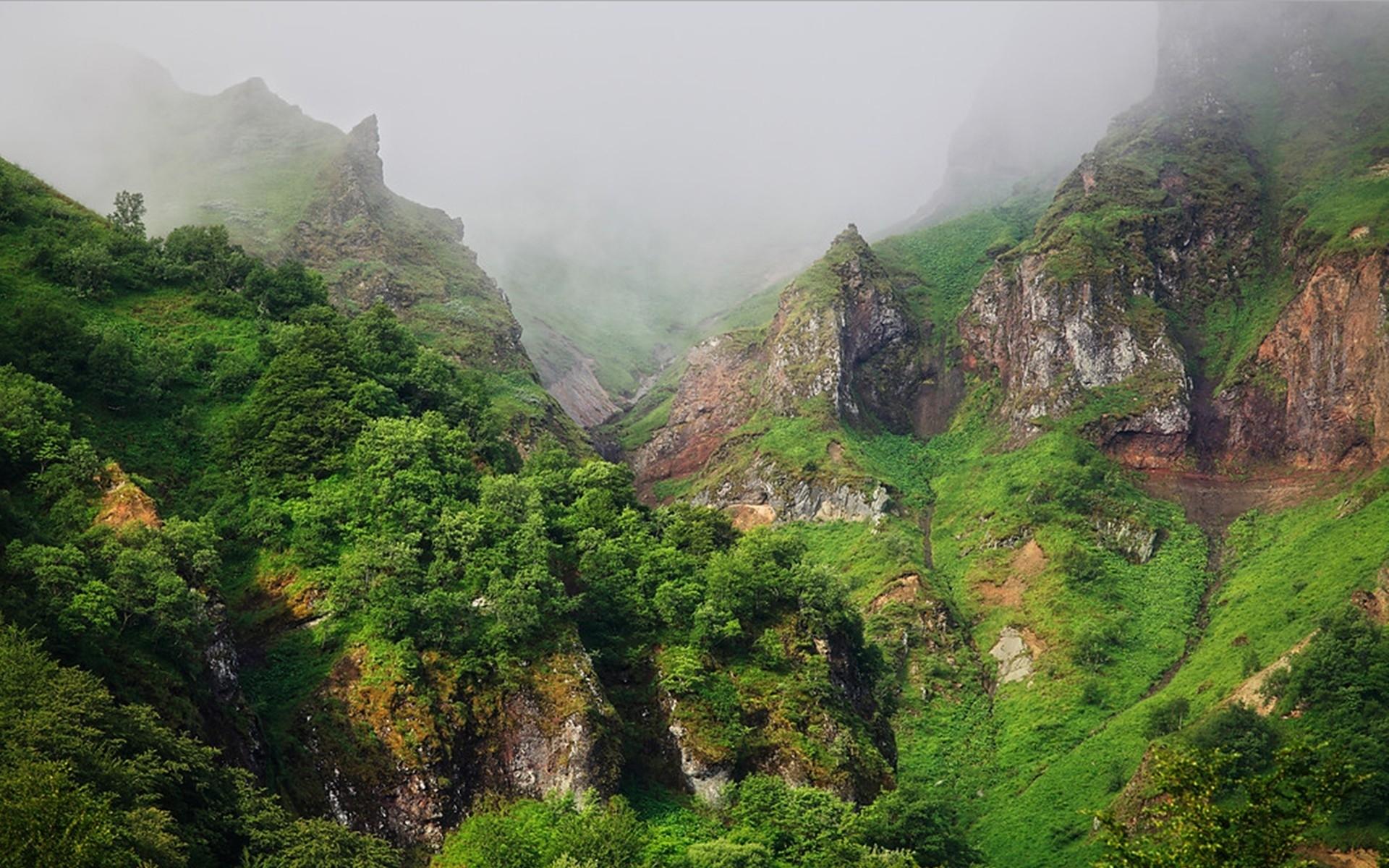 1920x1200 National Forest France wallpaper. National Forest France