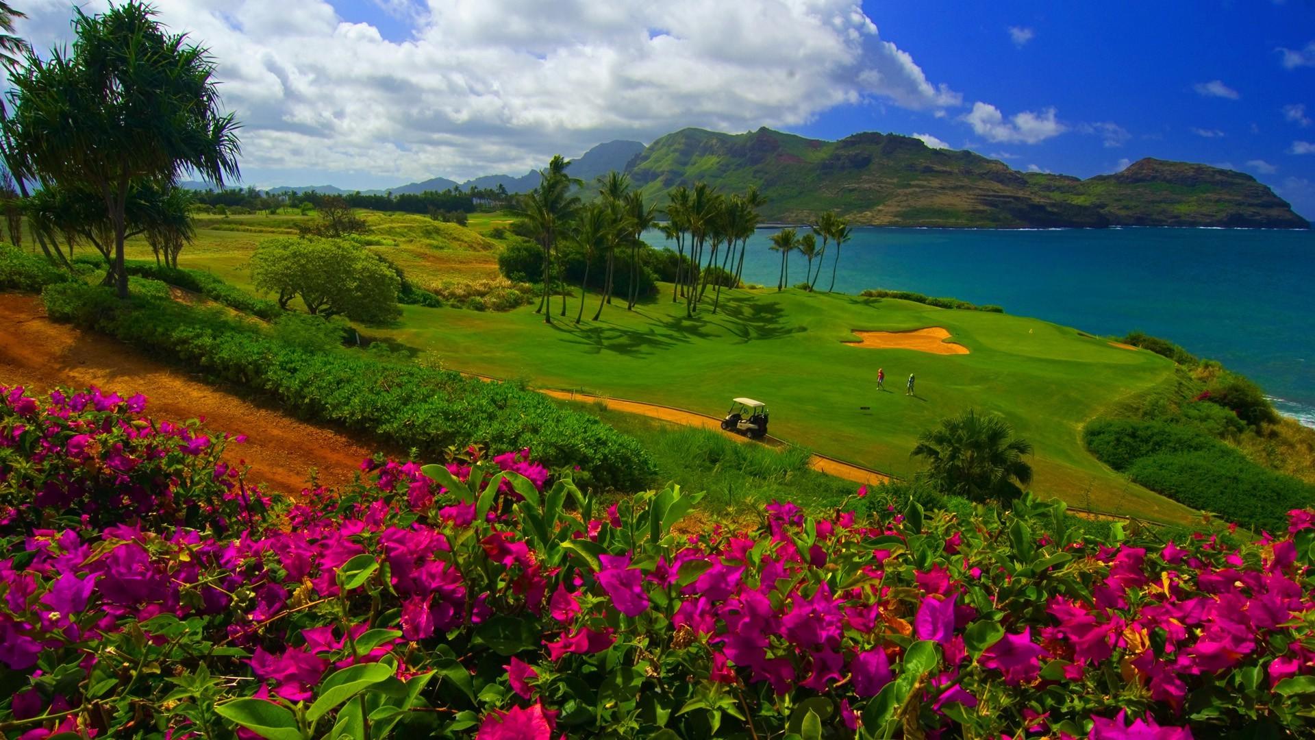 Hawaii Nature Wallpapers - Top Free Hawaii Nature Backgrounds