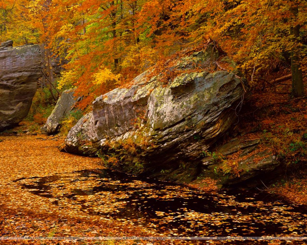 1280x1024 Free download Smith Springs Recreation Area Shawnee National Forest Wallpaper [1920x1080] for your Desktop, Mobile & Tablet. Explore Springs Wallpaper. Early Spring Wallpaper, Spring Wallpaper Image, Free Desktop Wallpaper Spring Scenes
