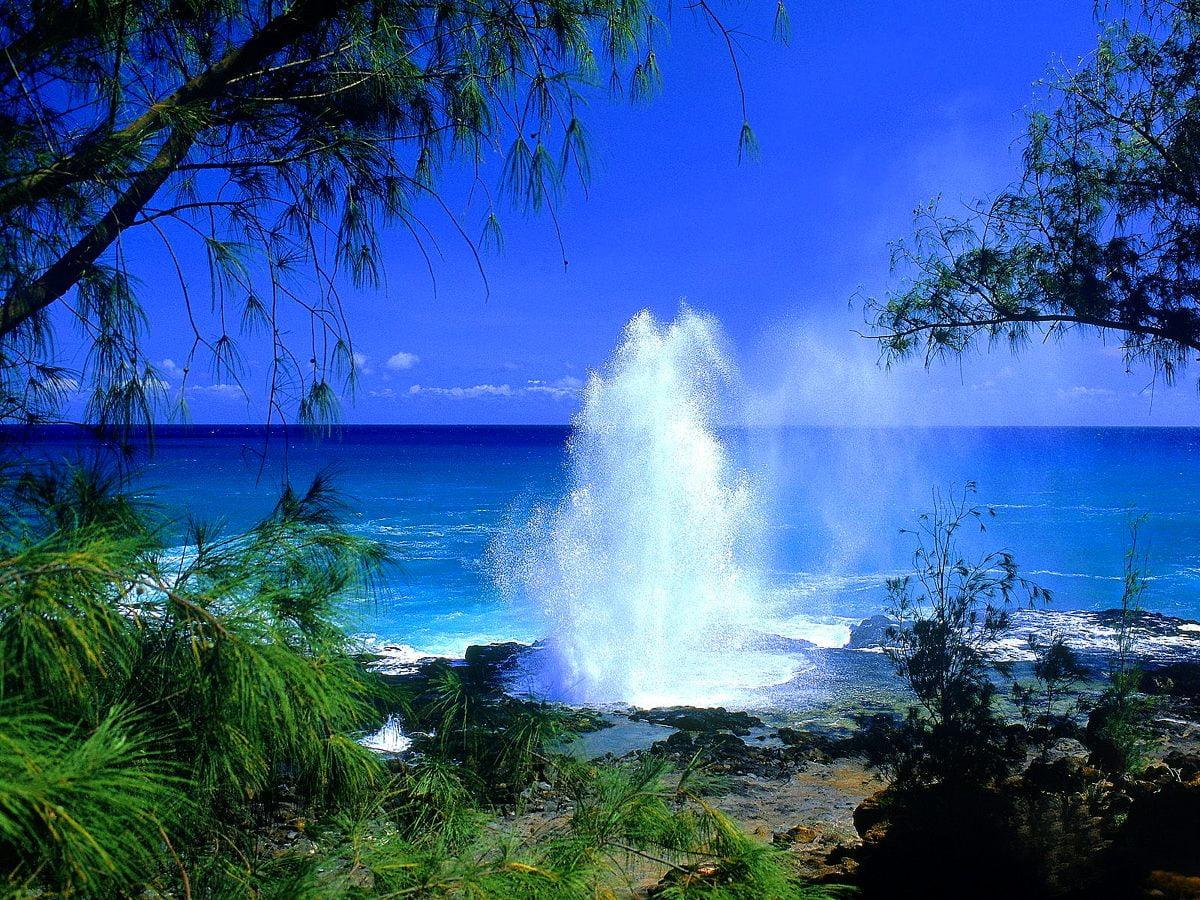 1200x900 HD wallpaper Tropics. Download Free background