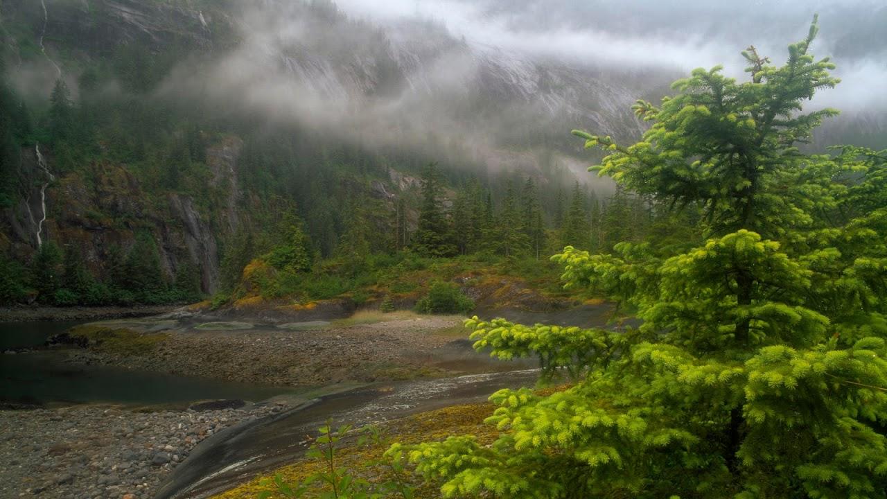 1280x720 hd Flower wallpaper: USA, Alaska, Tongass National Forest, Fords Terror rapids at low tide with the high cliffs above it in the clouds