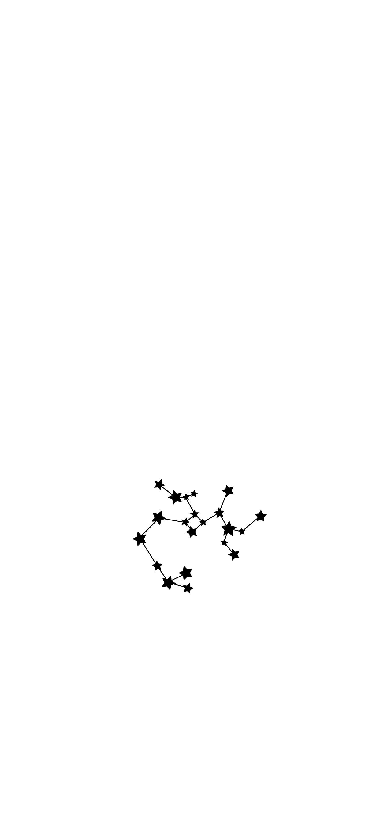 1242x2688 Aesthetic Sagittarius Wallpaper