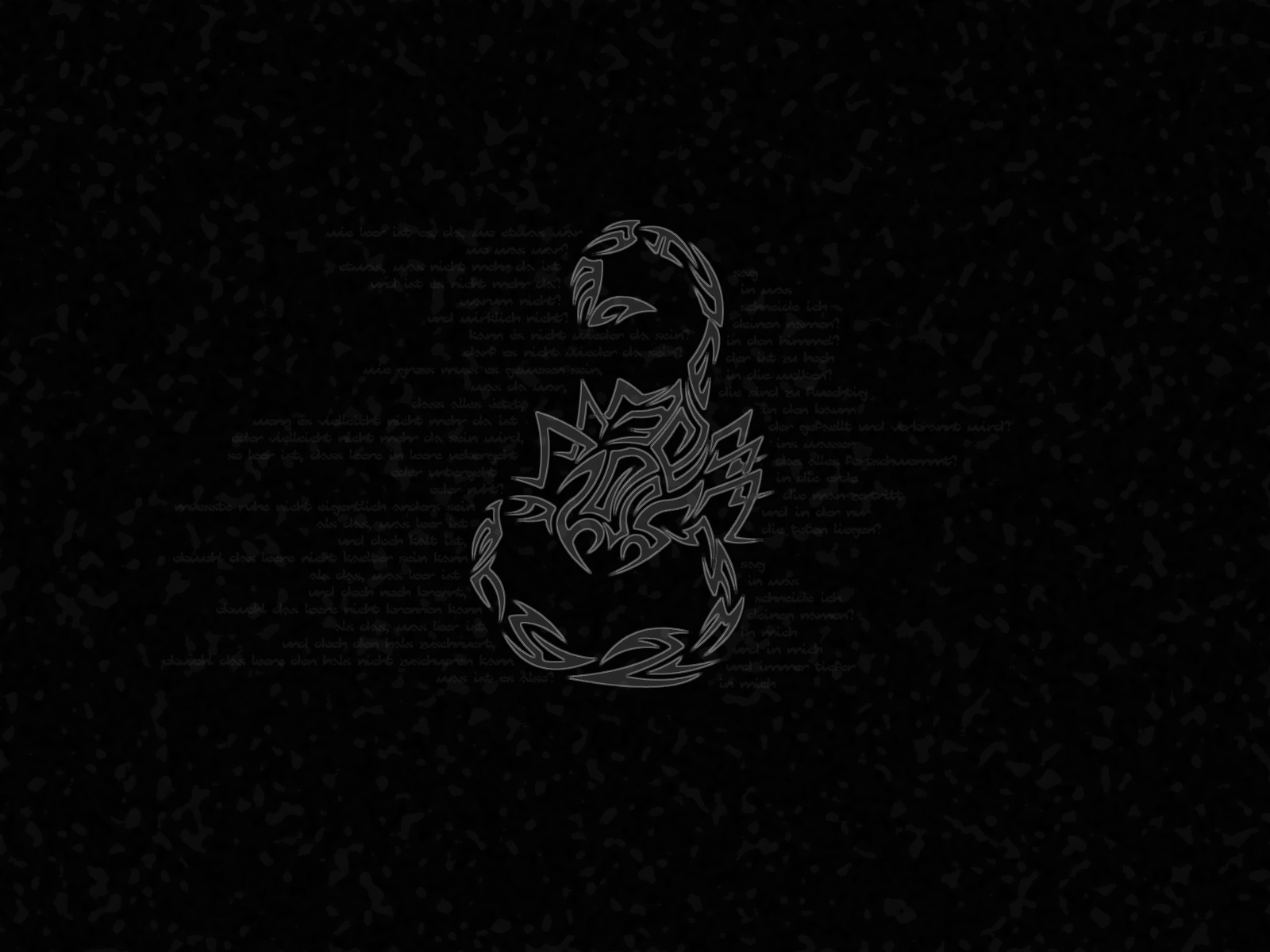 1600x1200 Animal Scorpion Wallpaper, HD Animal Scorpion Background on WallpaperBat
