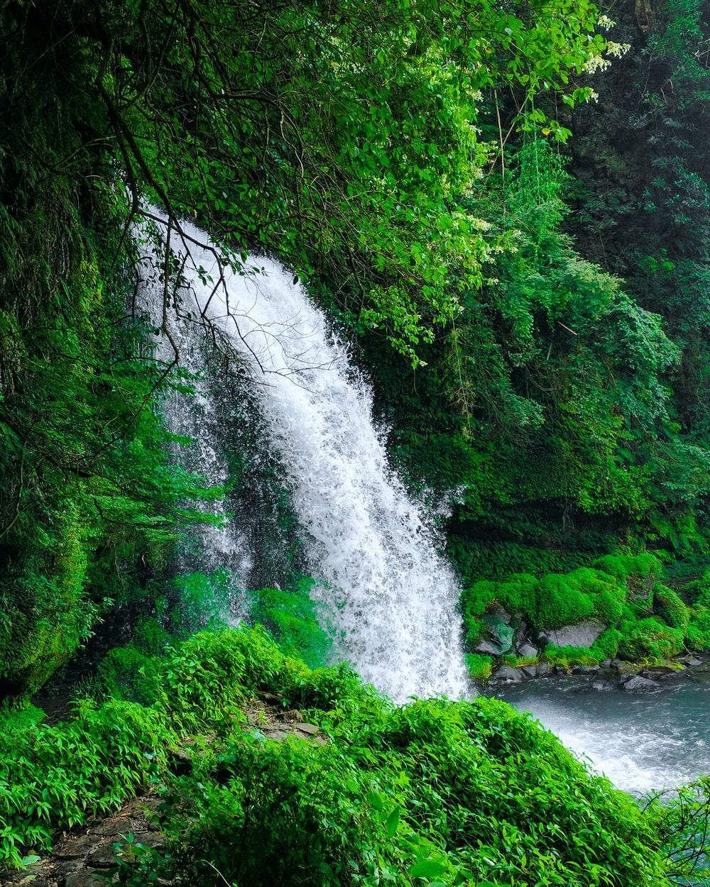 1000x1250 Waterfall Wallpaper: Free HD Download [HQ]