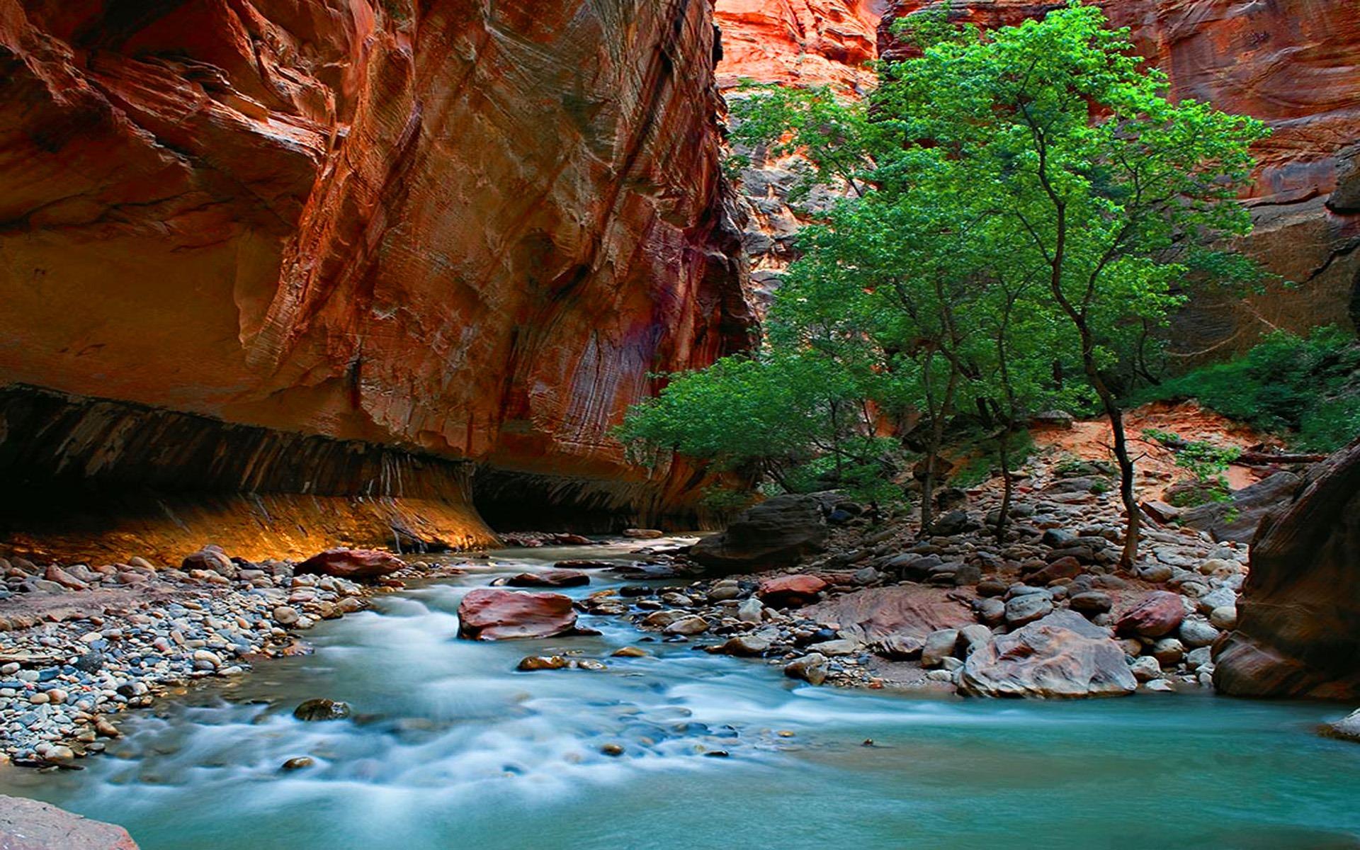 1920x1200 1920x1200 zion national park desktop wallpaper