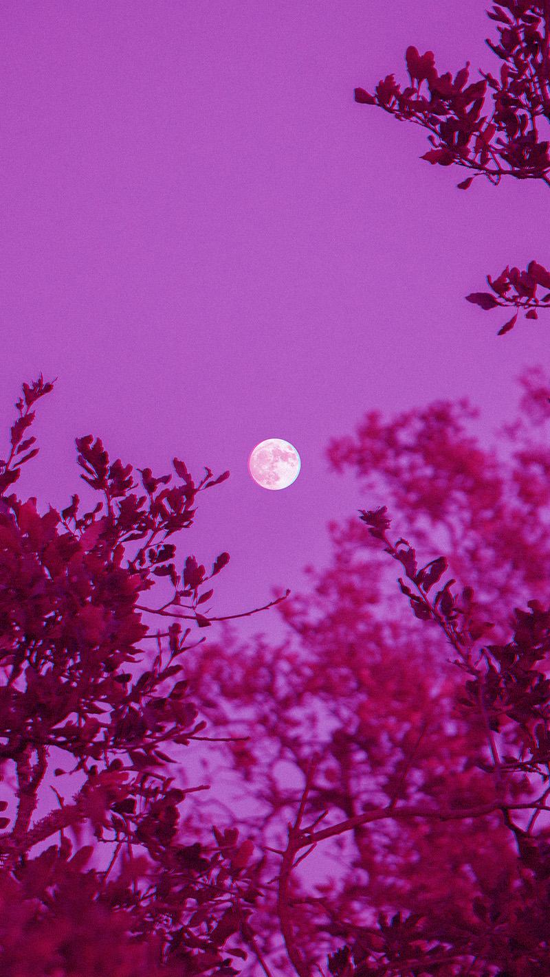 800x1422 Gorgeous aesthetic moon wallpaper for your phone ⋆ Aesthetic Design shop