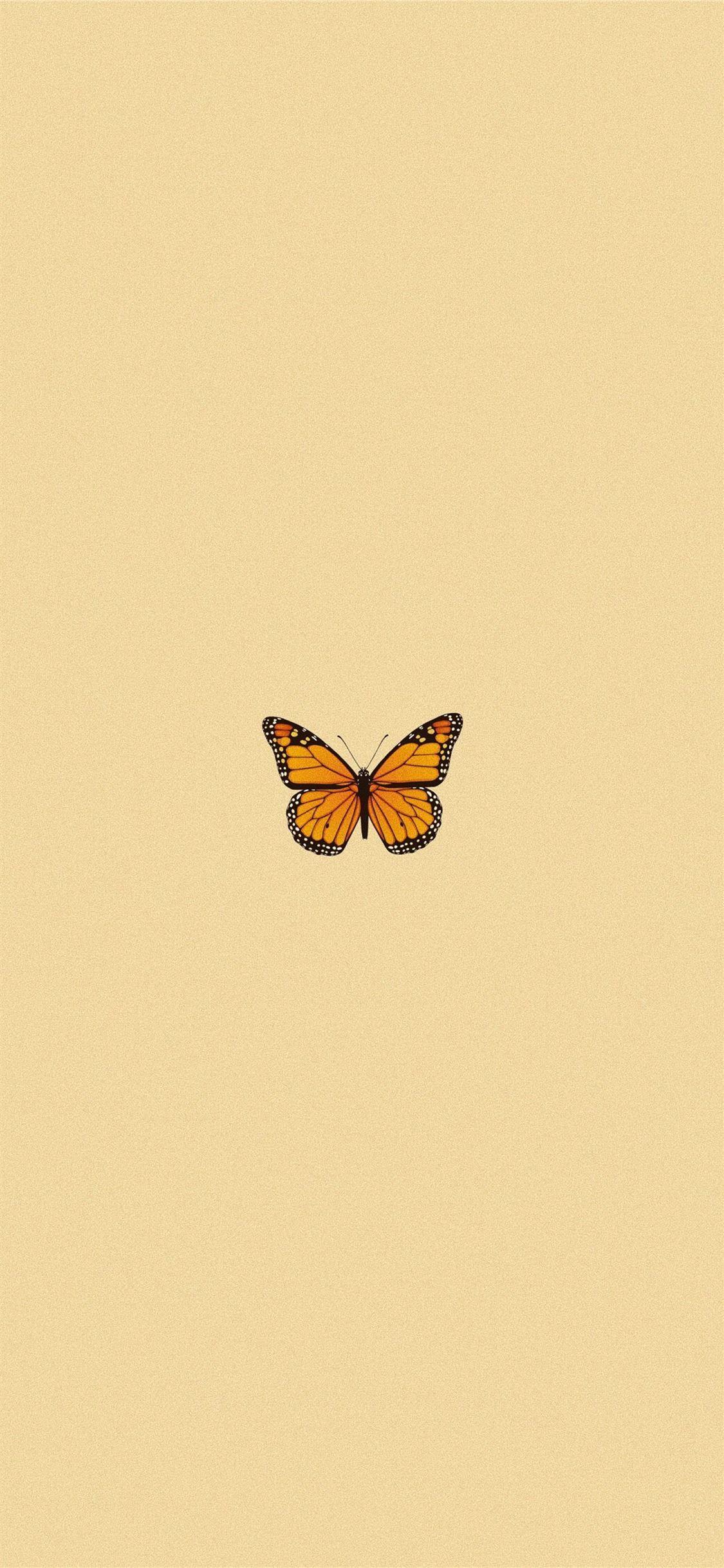 1125x2436 iPhone 11 Aesthetic Wallpaper