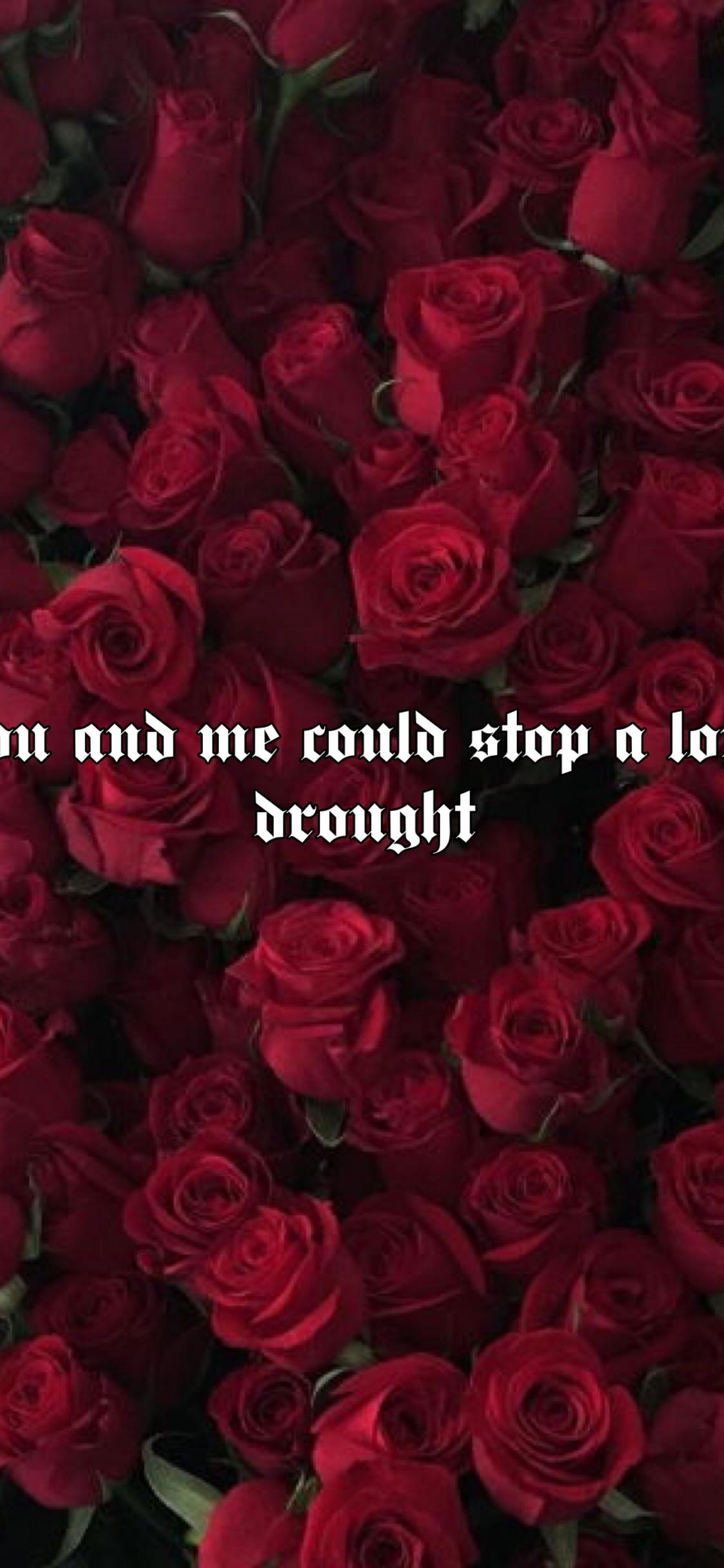 1125x2436 Free download Love drought beyonce wallpaperaestheticrosesredlyrics [2484x3888] for your Desktop, Mobile & Tablet. Explore Red Roses Aesthetic Wallpaper. Red Roses Aesthetic Wallpaper, Red Aesthetic Wallpaper, Wallpaper Red Roses