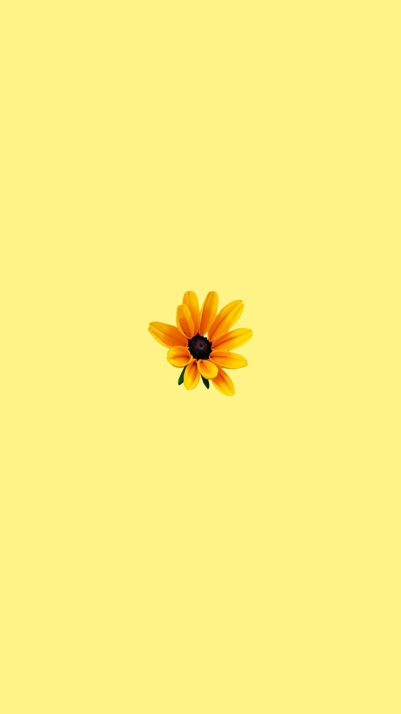 1288x2289 Aesthetic Black And Yellow Wallpaper HD Wallpaper Portal