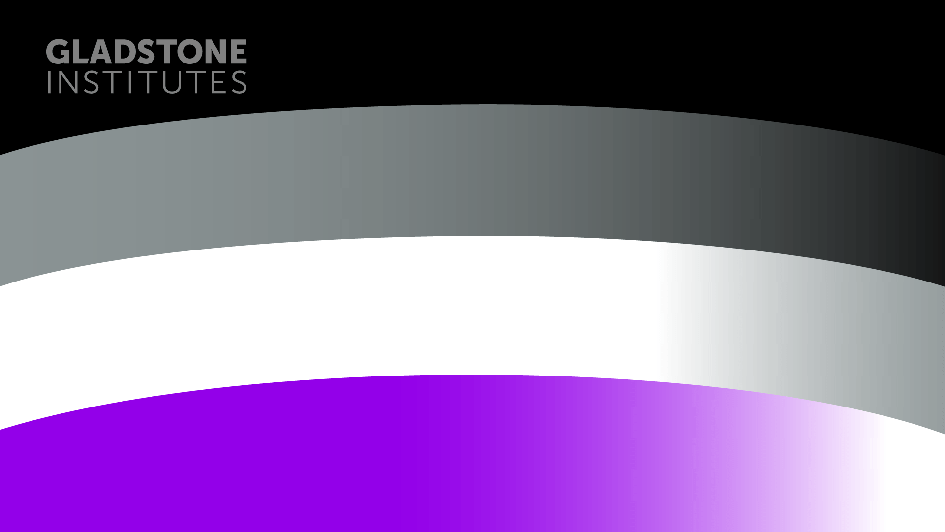 1921x1081 Pride Zoom Background