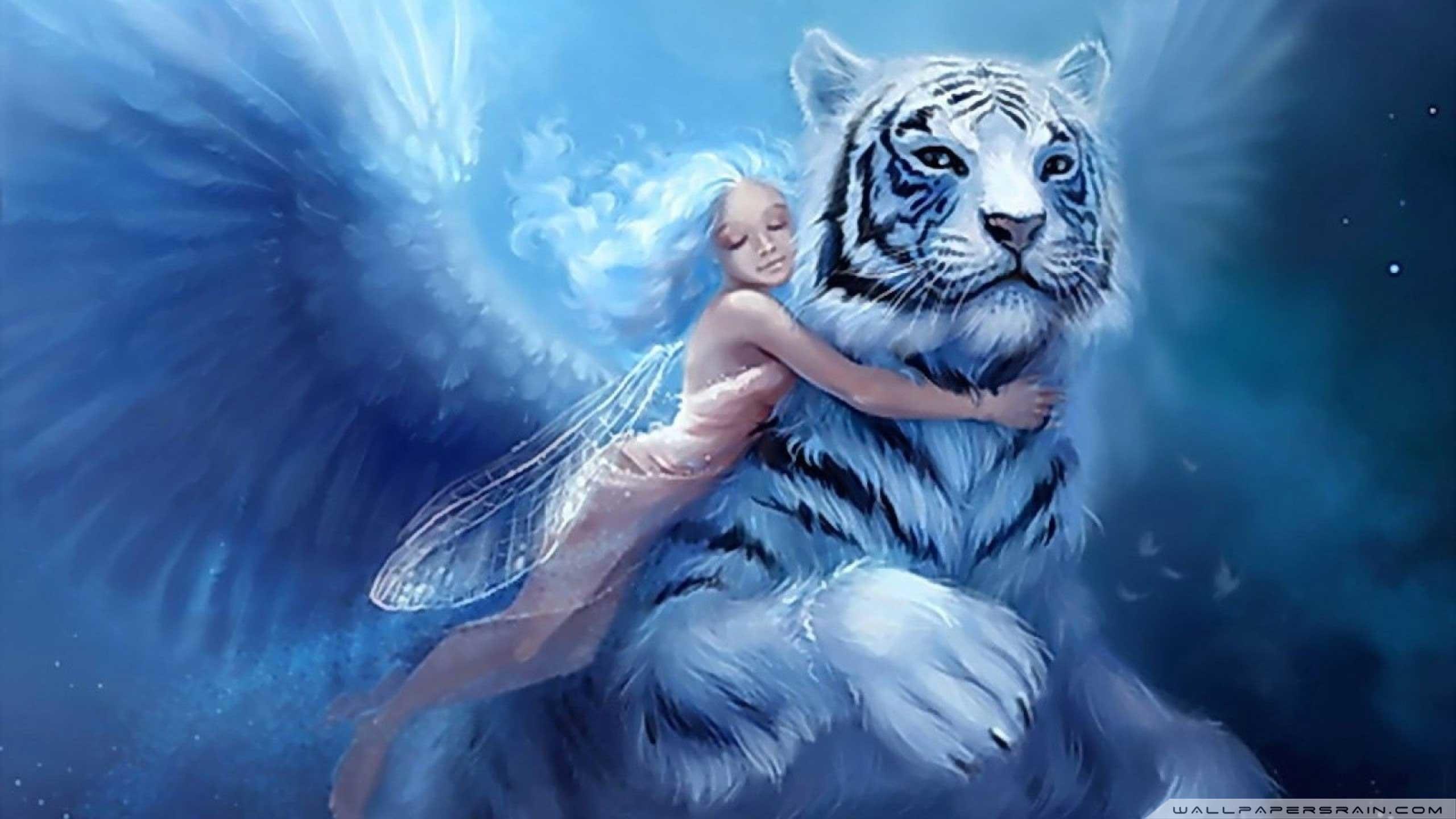 2560x1440 4l5bz52 Fairy Wallpaper And
