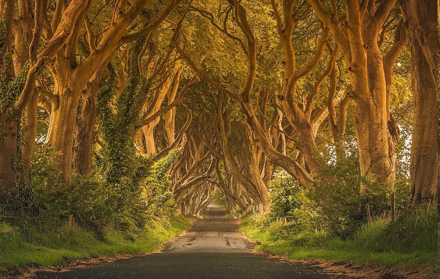 1400x888 4K Scenic Route Wallpaper High Quality