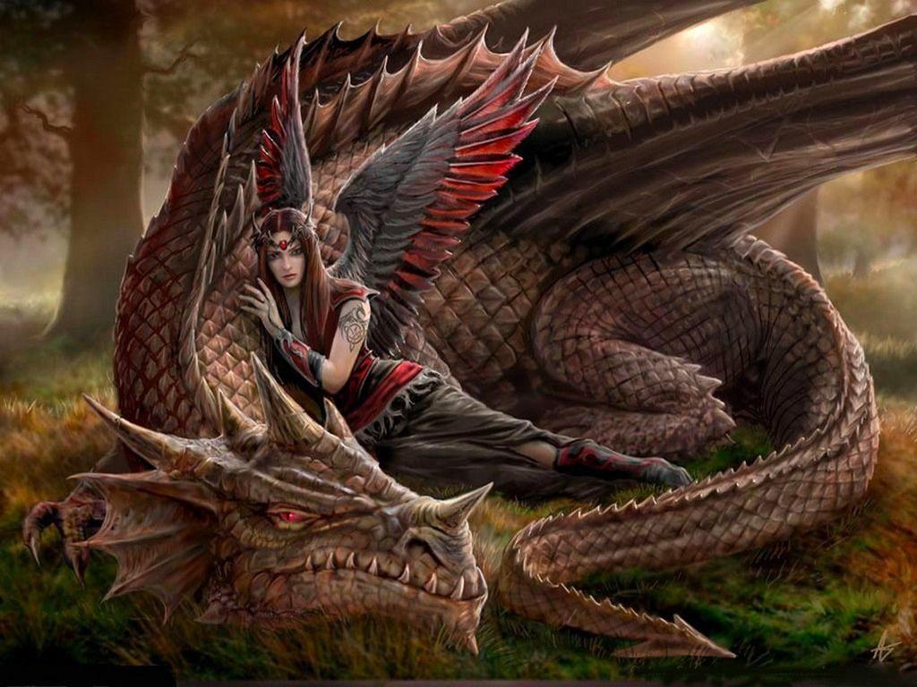 1024x768 Fantasy Dragon and Fairy Wallpaper Live Wallpaper HD