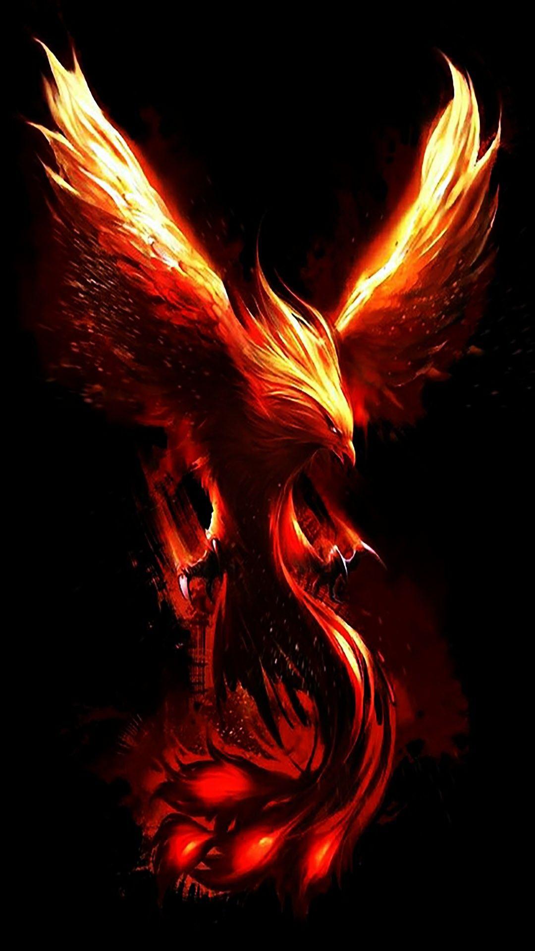 4K Phoenix Bird Wallpapers - Top Free 4K Phoenix Bird Backgrounds