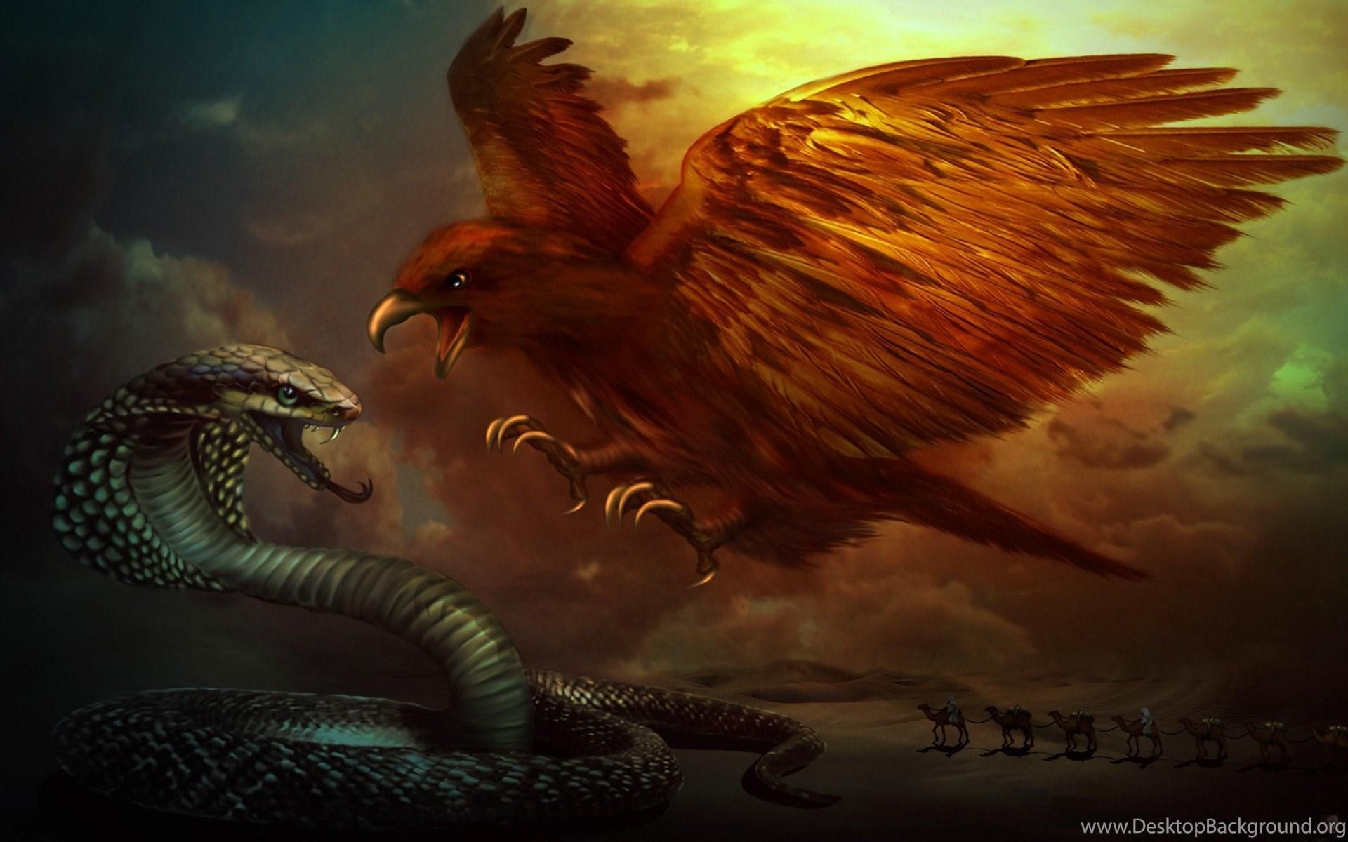 Mythical Phoenix Wallpapers Top Free Mythical Phoenix Backgrounds
