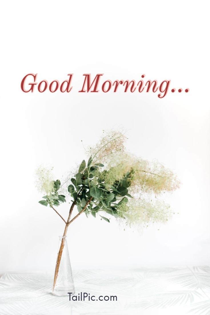 735x1102 Inspirational Good Morning Quotes with Beautiful Image