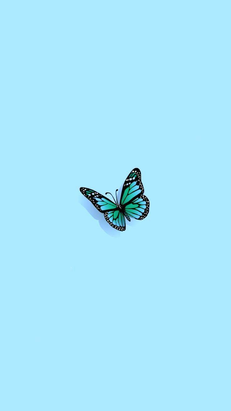 736x1308 single butterfly wallpaper. Teal wallpaper iphone, Aesthetic pastel wallpaper, Light blue aesthetic