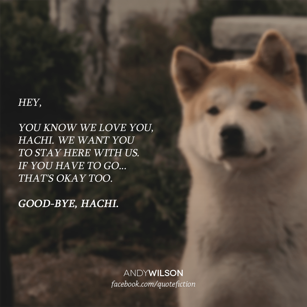 1024x1024 Hachiko ❤️ ideas. a dog's tale, akita dog, dog stories