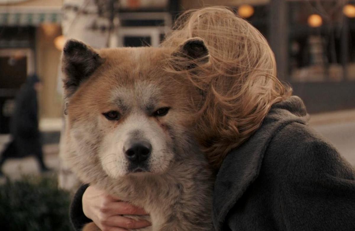 1200x781 Hachi: A Dog's Tale (2009)