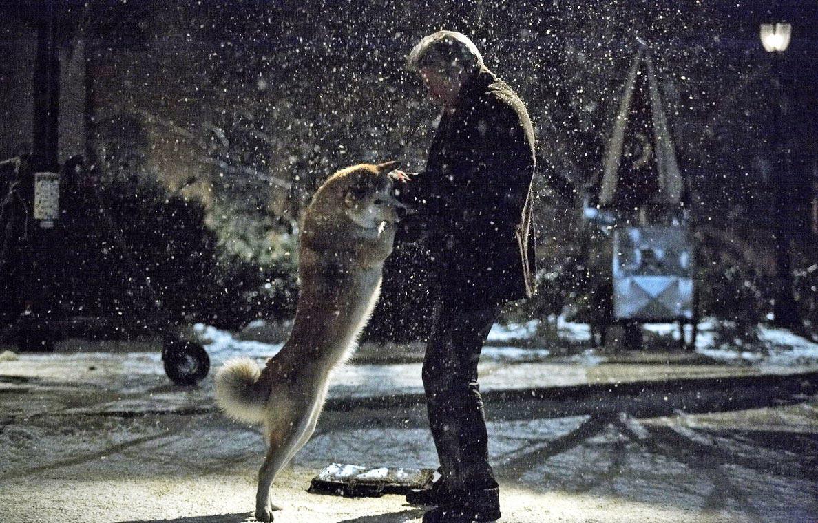 1188x760 Hachi A Dog s Tale Wallpaper: A Dog's Tale Image, Picture, Photo, Icon and Wallpaper: Ravepad place to rave about anything and everything!
