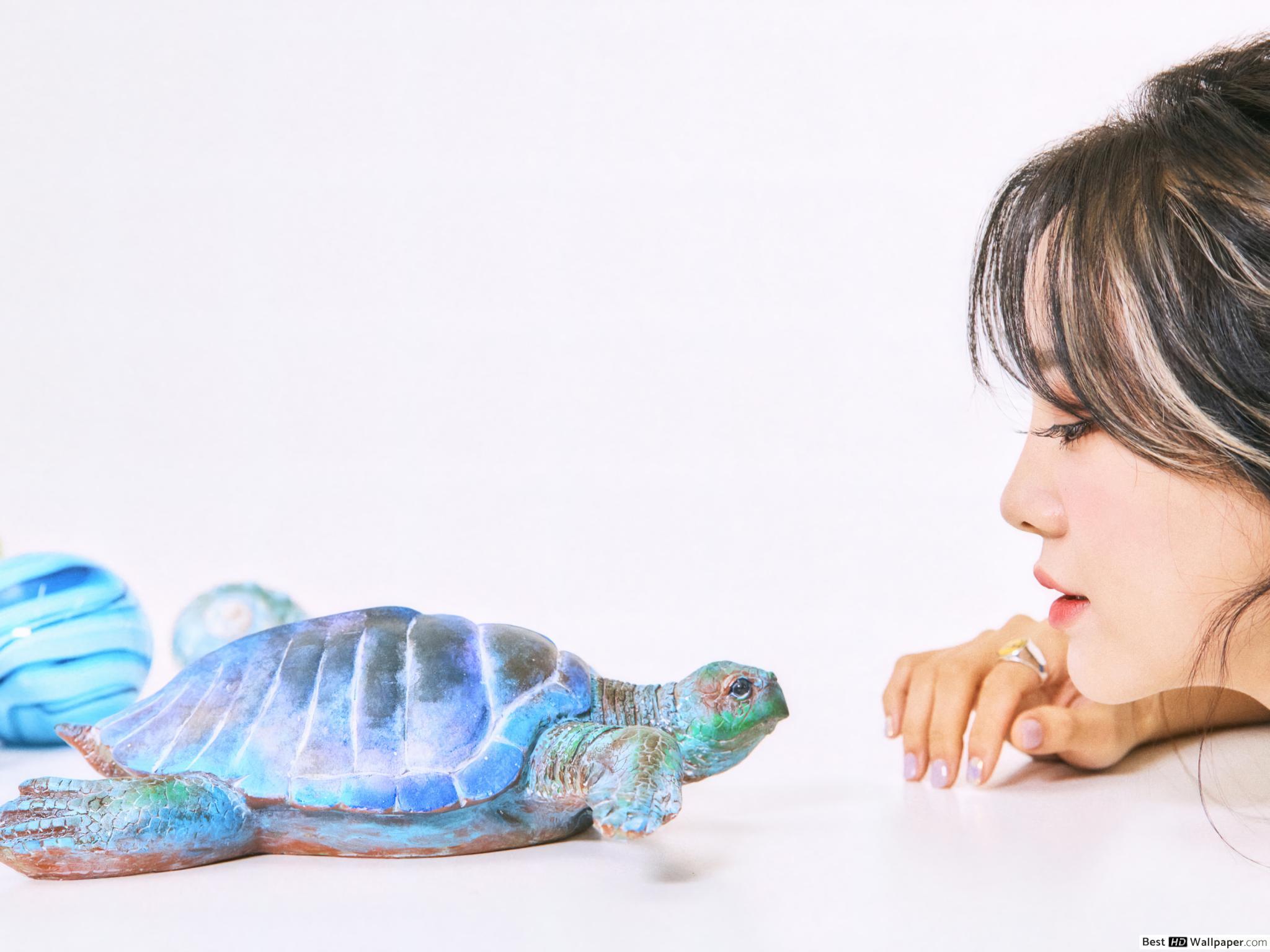 2048x1536 Gorgeous 'Kim Sejeong' playing with Turtle HD wallpaper download