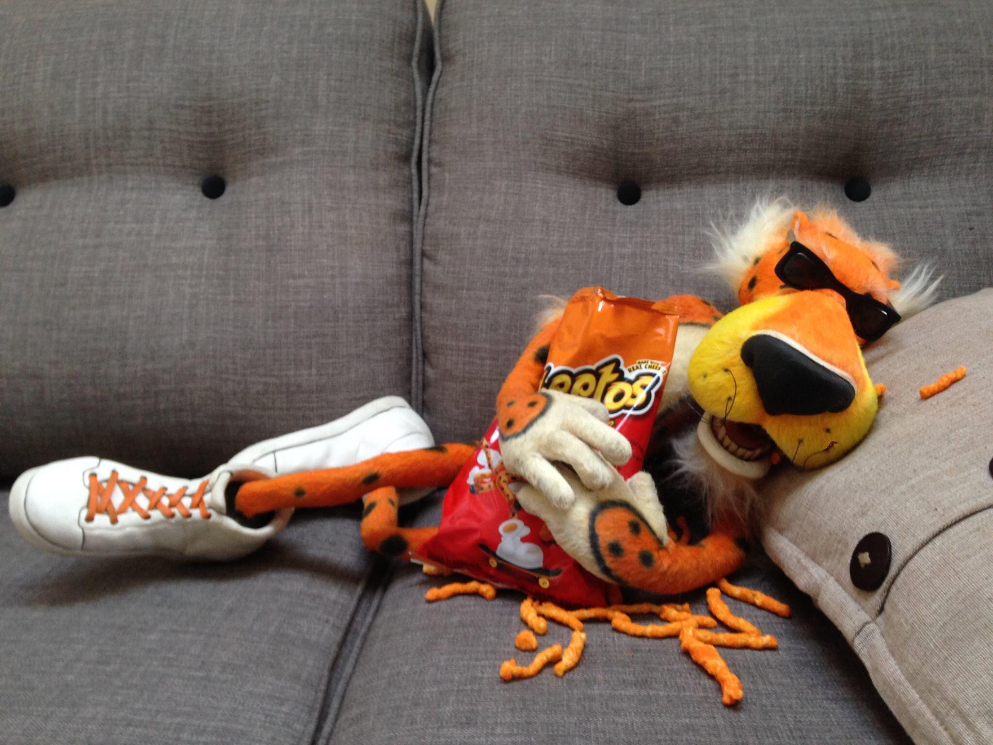 2048x1536 Chester Cheetah mor.er.evening. #Iwokeuplikethis