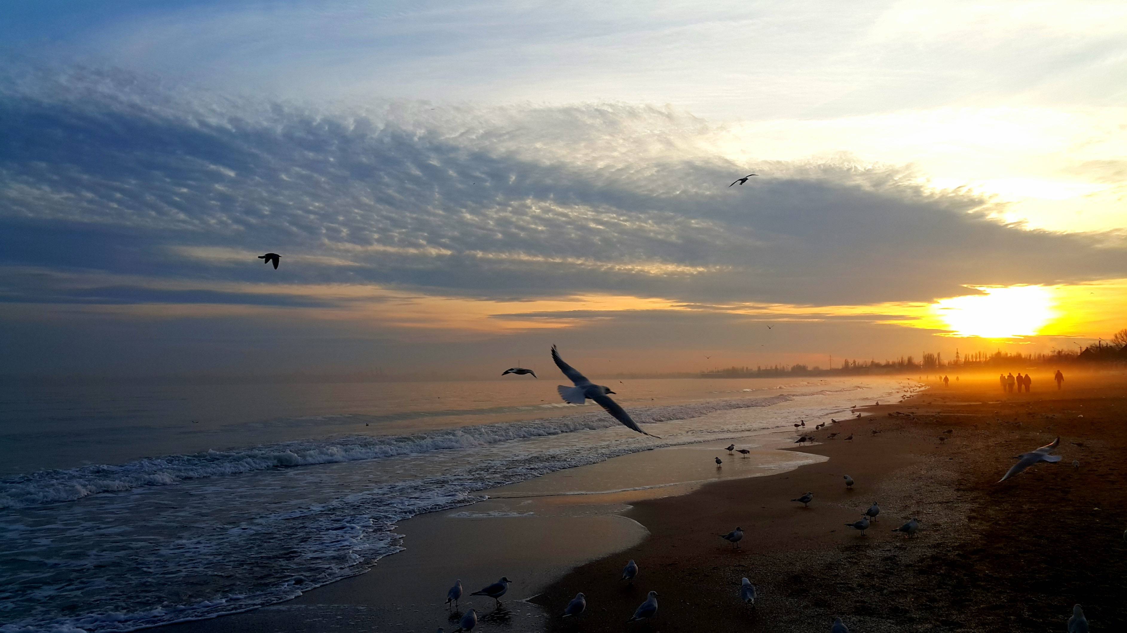 3771x2121 sunset, sea, birds Wallpaper, HD Nature 4K Wallpaper, Image, Photo and Background