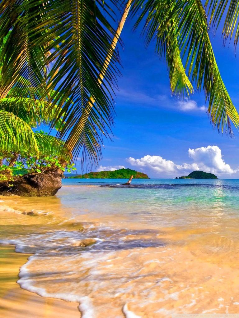 768x1024 Beach Mobile Wallpaper HD Wallpaper
