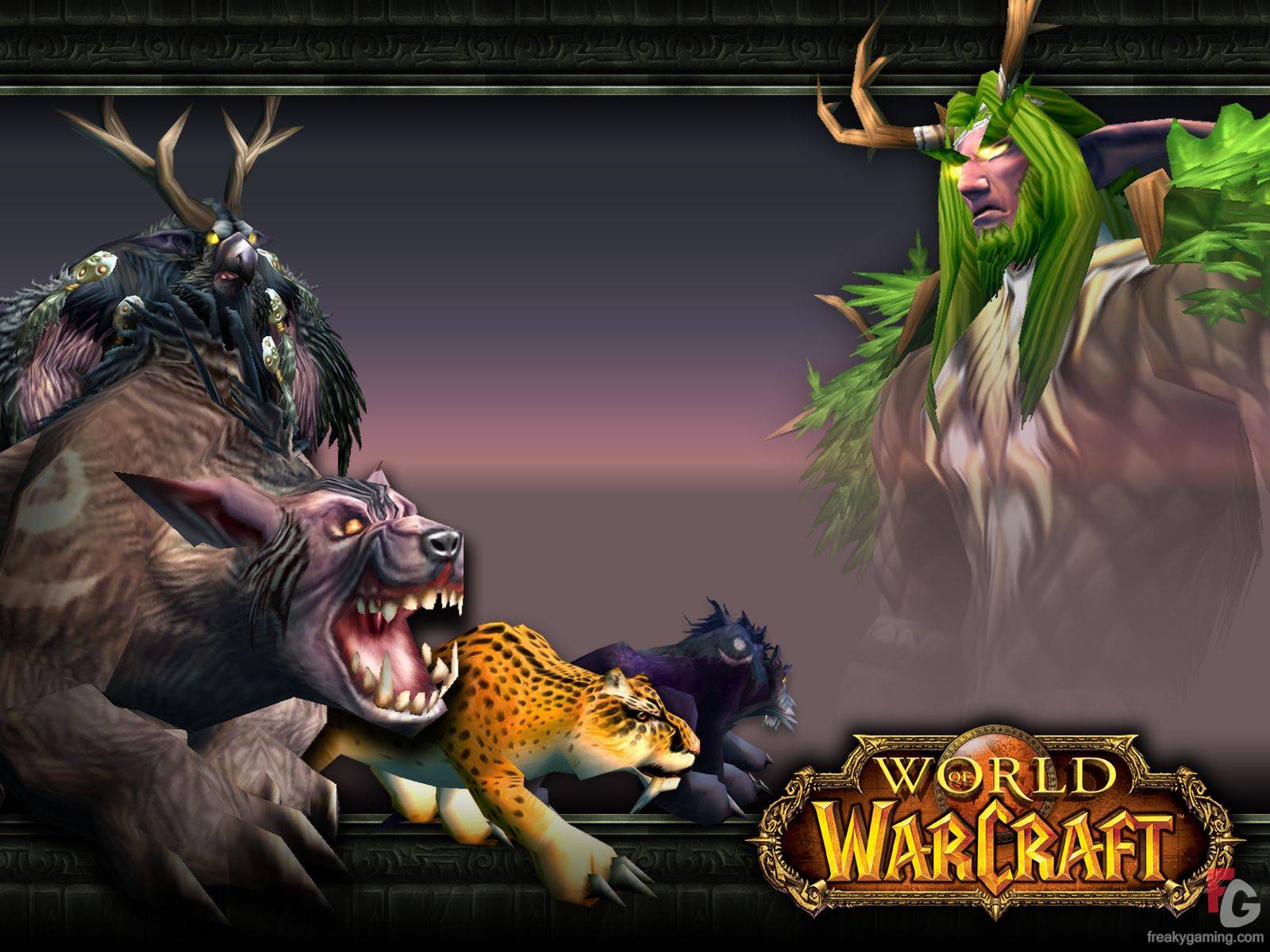 1600x1200 Druid Wallpaper