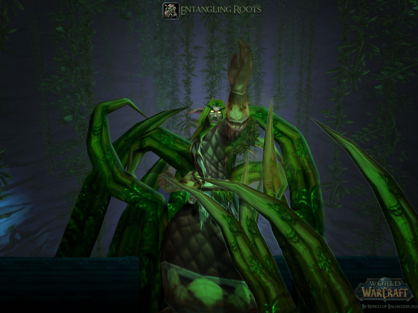 1600x1200 Druid Wallpaper