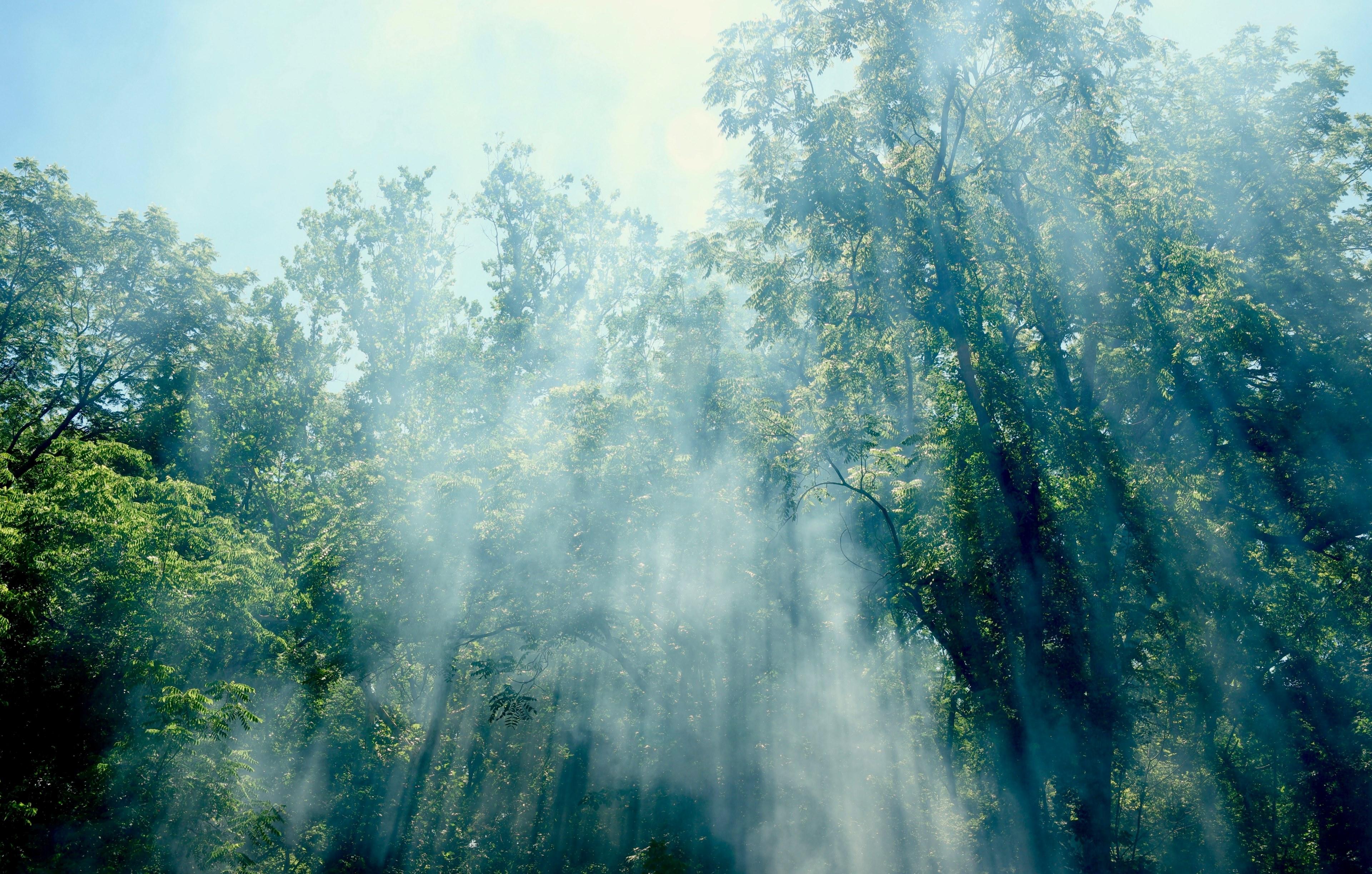 3840x2447 Desktop HD wallpaper, background