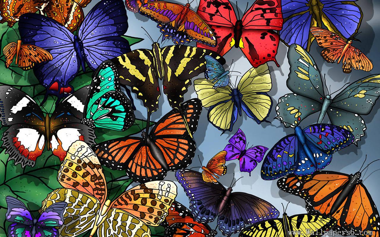 1280x800 Free Butterfly wallpaperx800
