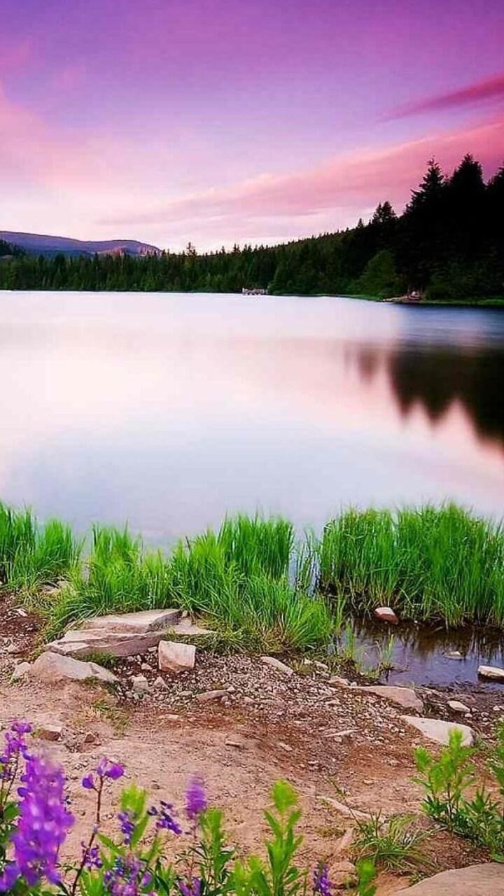 720x1280 Nature Scenery Moto G, X Xperia Z Z3 Compact, Galaxy S Note II, Nexus HD 4k Wallpaper, Image, Background, Photo and Picture