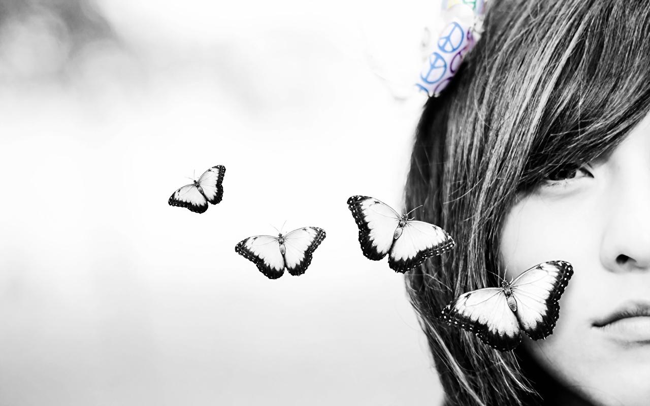 1280x800 Photos Butterflies Girls