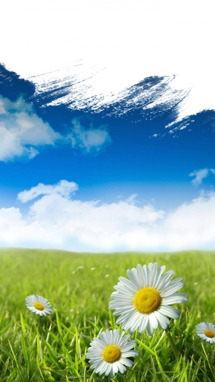 720x1280 19++ 720 X 1280 HD Nature Wallpaper