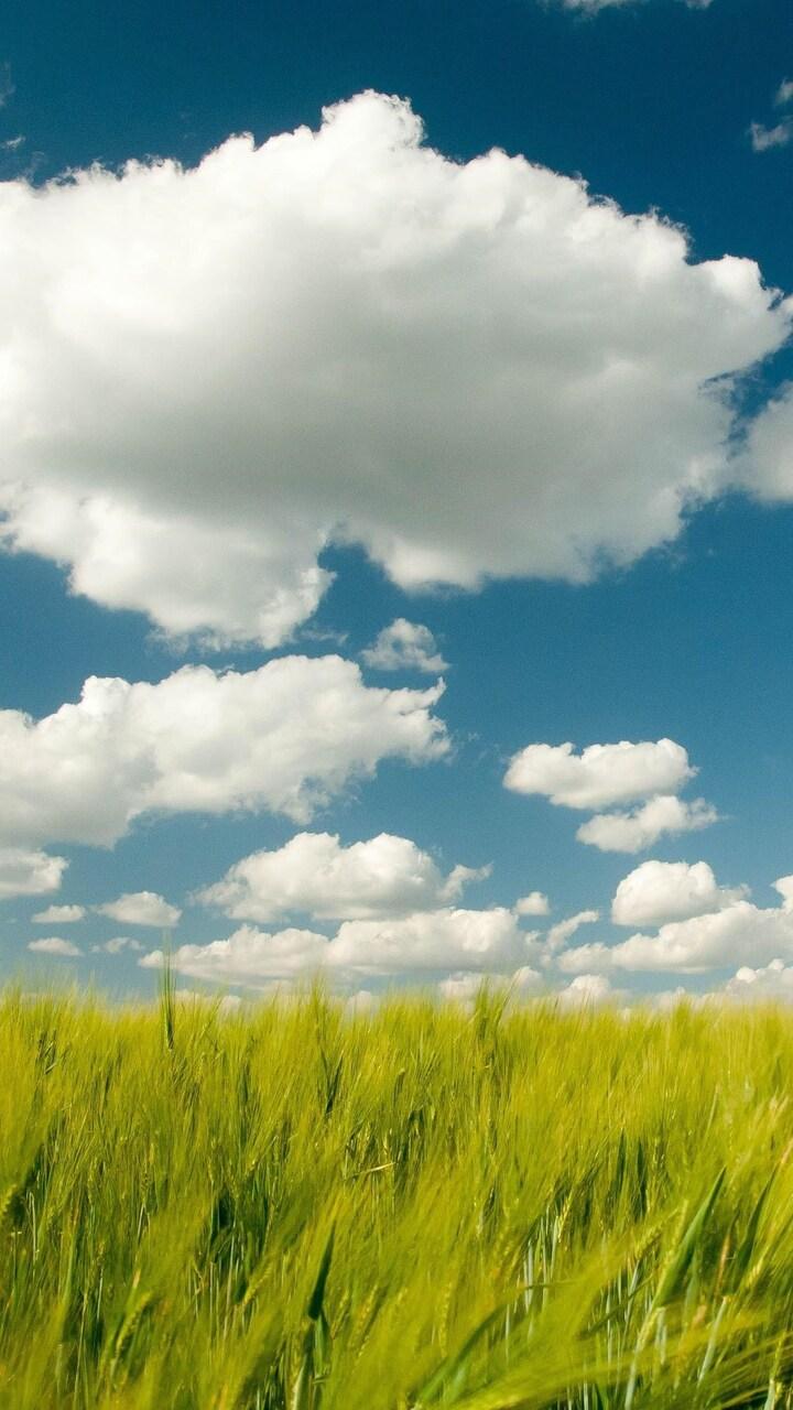 720x1280 Nature Photography Moto G, X Xperia Z Z3 Compact, Galaxy S Note II, Nexus HD 4k Wallpaper, Image, Background, Photo and Picture