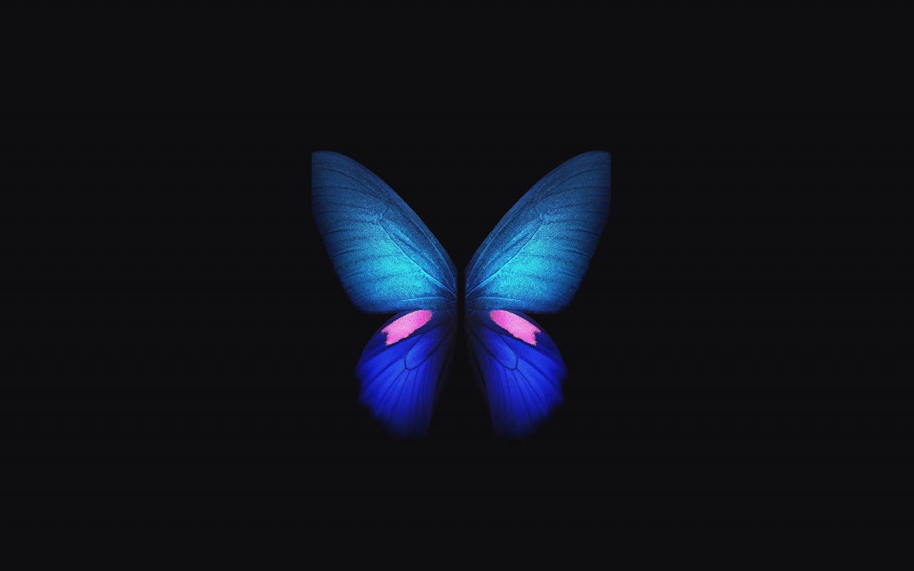1280x800 Download 1280x800 wallpaper samsung galaxy fold, blue butterfly, minimal, art, full hd, hdtv, fhd, 1080p, widescreen, 1280x800 HD image, background, 19933