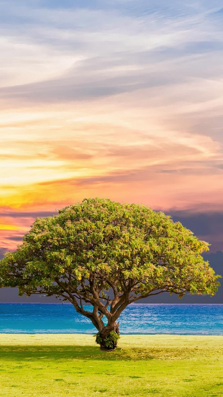 720x1280 27++ Nature HD Wallpaper 720x1280