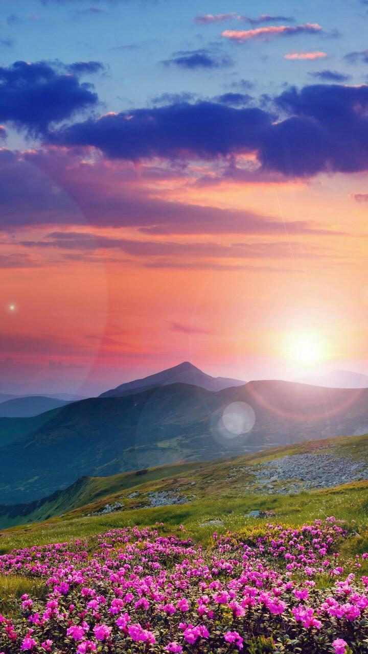 720x1280 Download Beautiful Valley Wallpaper for Desktop and Mobile 720x1280