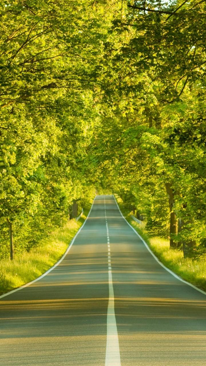 720x1280 24++ Nature Wallpaper HD 720x1280 Download