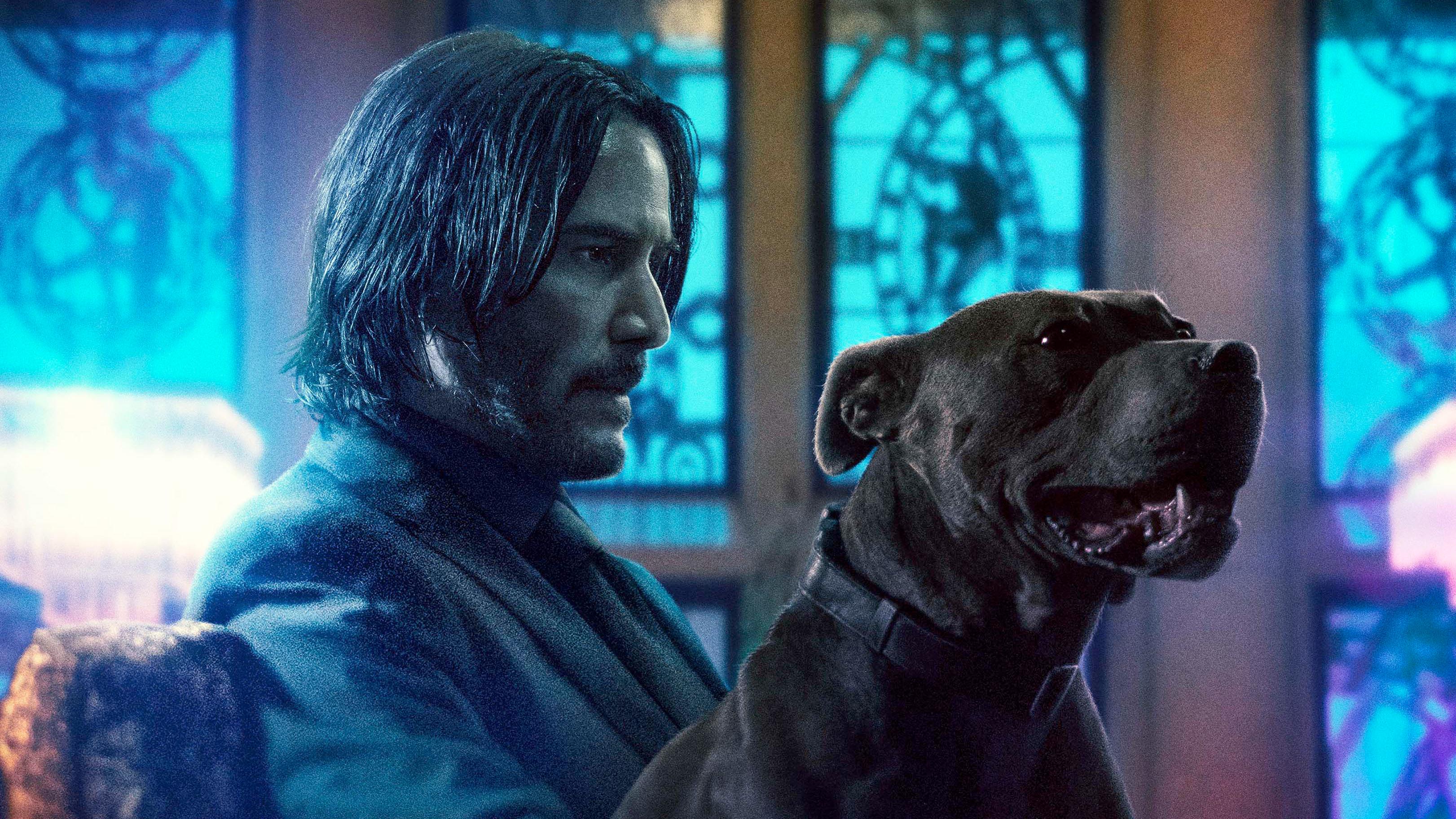 3243x1824 John Wick Chapter 3 Parabellum Movie 2019 Poster, HD Movies, 4k Wallpaper, Image, Background, Photo and Picture