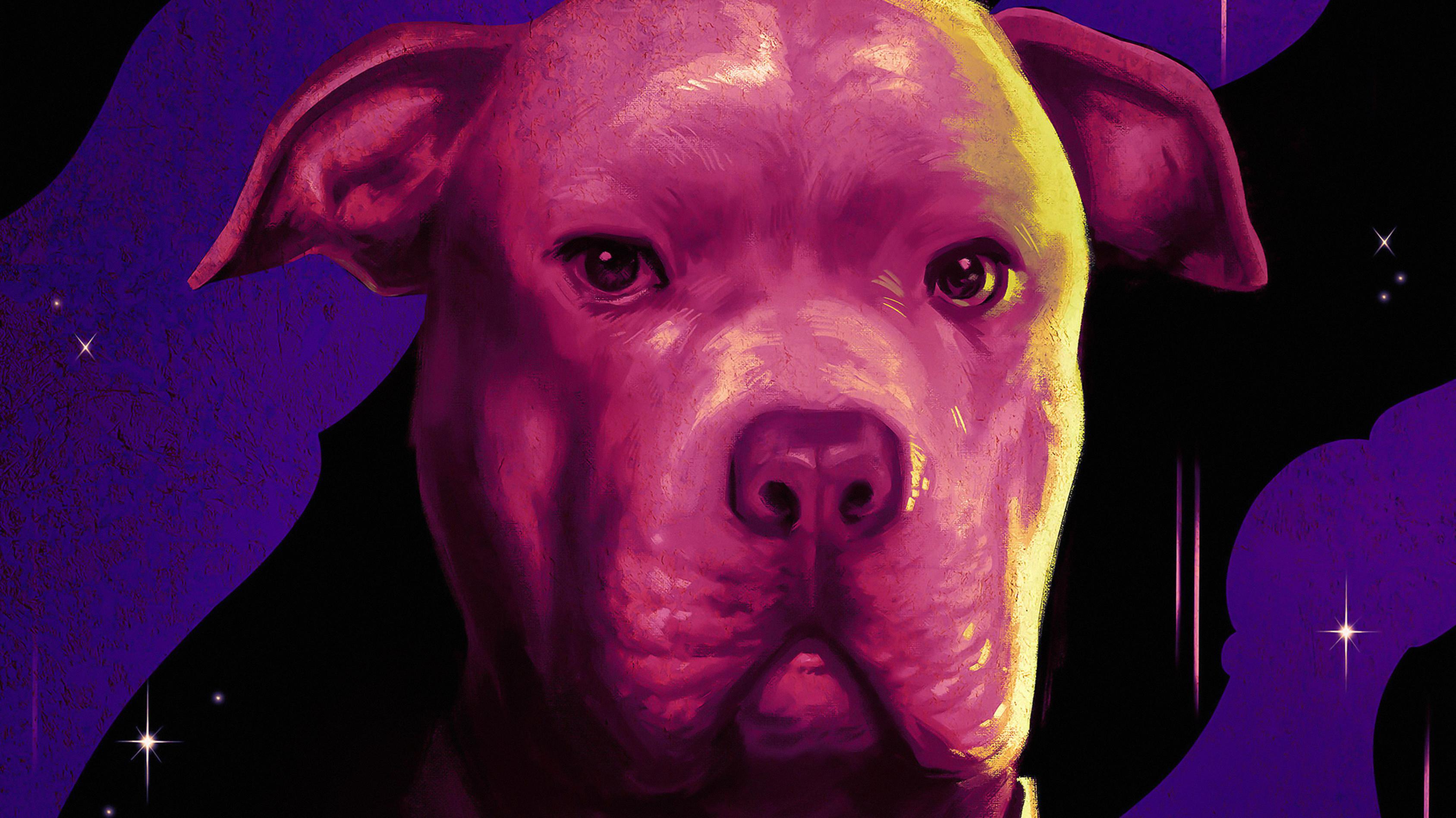 3375x1898 Dog In John Wick Chapter 3 Parabellum 4k, HD Movies, 4k Wallpaper, Image, Background, Photo and Picture